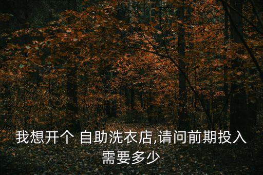我想開個(gè) 自助洗衣店,請(qǐng)問前期投入需要多少