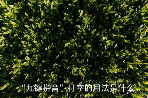 96226,江西省非私營單位就業人員年平均工資73725元