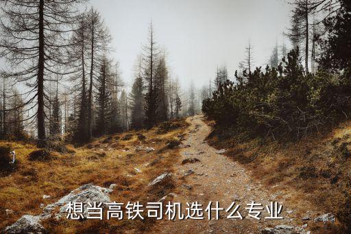 想當高鐵司機選什么專業
