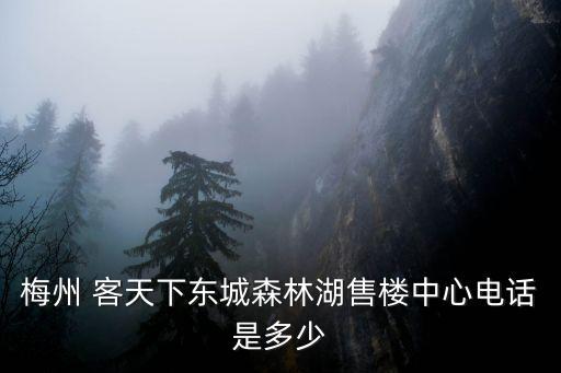 客天下,怎么去梅州天下景區(qū)?