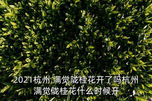 2021杭州 滿覺隴桂花開了嗎杭州 滿覺隴桂花什么時候開