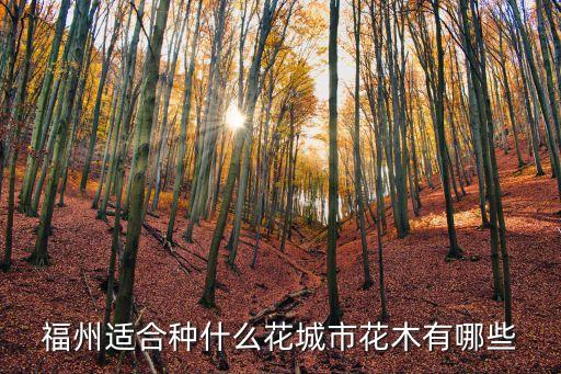 福州市樹,福州市樹樟樹市樹:銀杏樹