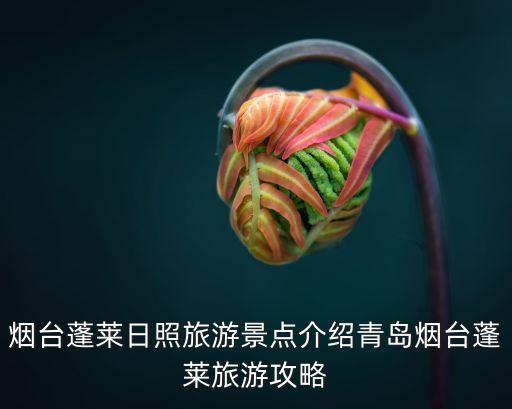 蓬萊閣風景區,蓬萊閣景點有何景點?