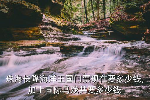 珠海長(zhǎng)隆海洋王國(guó)門票現(xiàn)在要多少錢,加上國(guó)際馬戲共要多少錢