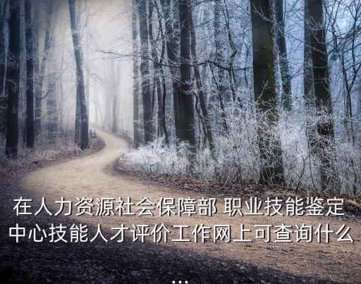 在人力資源社會保障部 職業(yè)技能鑒定中心技能人才評價工作網(wǎng)上可查詢什么...