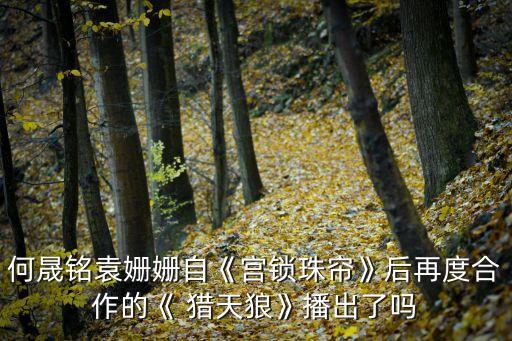 獵天狼,為什么手機(jī)看不了電視劇獵天狼?