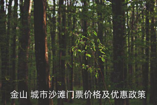 金山 城市沙灘門票價格及優惠政策