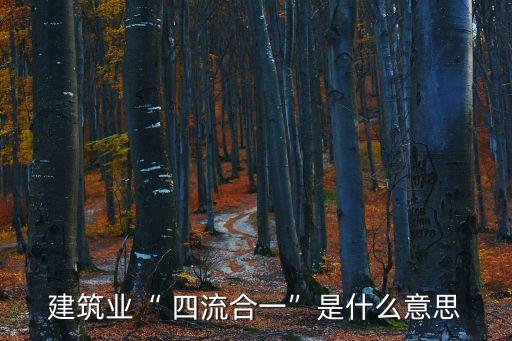 建筑業(yè)“ 四流合一”是什么意思