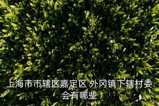 外岡鎮,怎么到上海奧特萊斯?