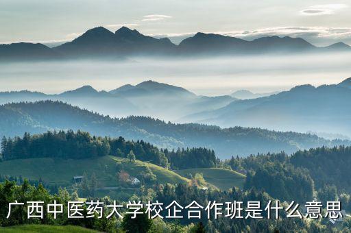 桂中大藥房,醫院藥房實習總結1三個月收獲頗豐