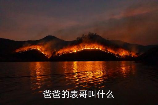 公翁1,老翁和一片葉子的故事