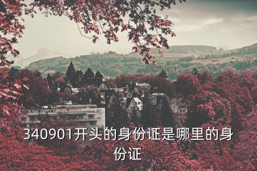 340901開頭的身份證是哪里的身份證