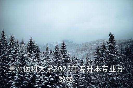 貴州醫科大學2023年專升本專業分數線