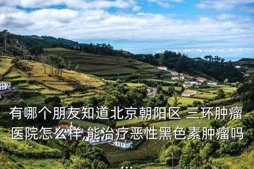 有哪個(gè)朋友知道北京朝陽(yáng)區(qū) 三環(huán)腫瘤醫(yī)院怎么樣,能治療惡性黑色素腫瘤嗎...