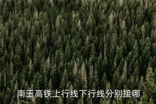  南玉高鐵上行線下行線分別接哪