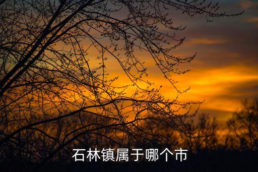  石林鎮屬于哪個市
