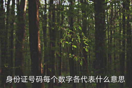 身份證號碼每個數字各代表什么意思