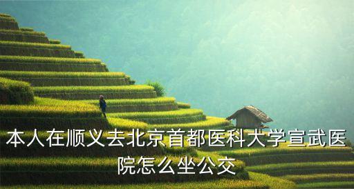 宣武醫(yī)院地址,北京宣武醫(yī)院怎么坐?