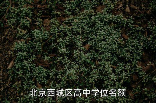 北京西城區高中學位名額