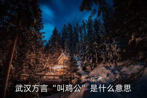 武漢方言“叫雞公”是什么意思