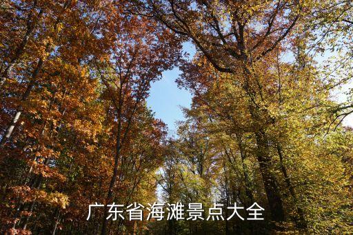廣州有海灘嗎,廣州有海嗎?海珠區有海灘嗎?