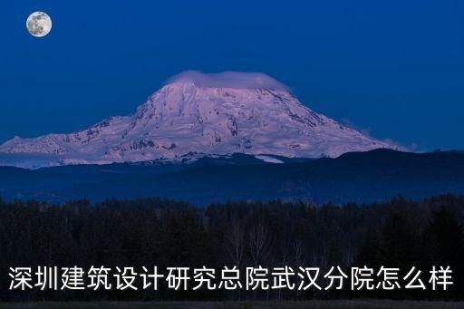 深圳建筑設計研究總院武漢分院怎么樣