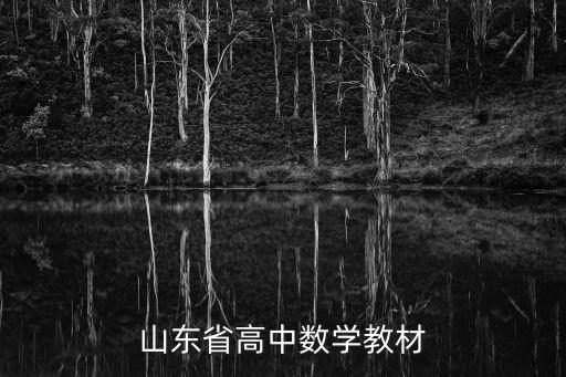 高中數學電子書,復習參考書!電子版高中數學《資源庫》好用