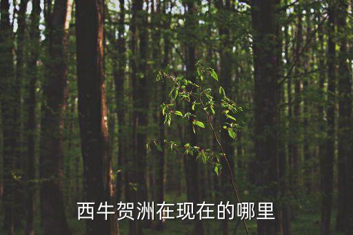 賀州是哪里,西牛賀州在哪里?
