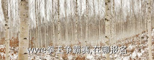 wwe拳王爭霸賽,在哪報名