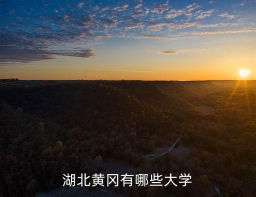 湖北黃岡有哪些大學
