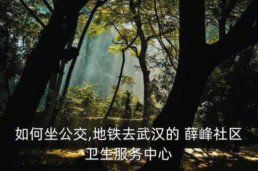 如何坐公交,地鐵去武漢的 薛峰社區(qū)衛(wèi)生服務(wù)中心