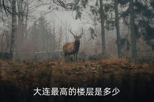 大連世貿大廈,大連世貿大廈里的公司名單出爐