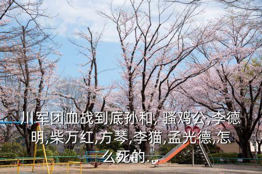 川軍團血戰到底孫和, 騷雞公,李德明,柴萬紅,方琴,李貓,孟光德,怎么死的...