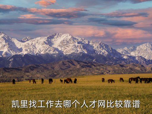 貴州人才網,畢業求職首席人才網站
