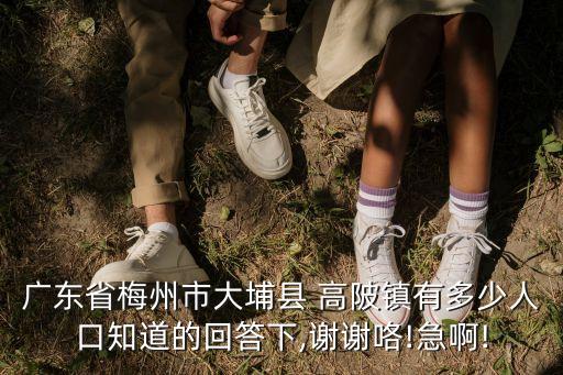 廣東省梅州市大埔縣 高陂鎮(zhèn)有多少人口知道的回答下,謝謝咯!急啊!