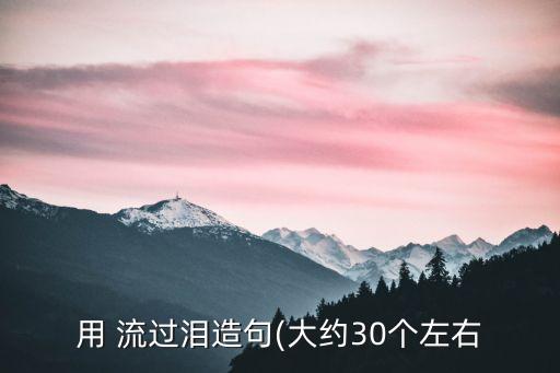 用 流過淚造句(大約30個(gè)左右