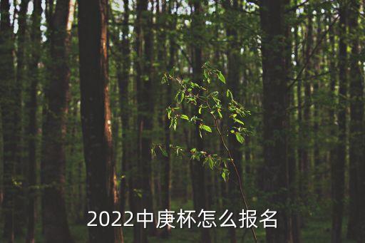 2022中庚杯怎么報名