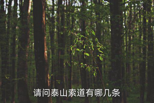 請問泰山索道有哪幾條