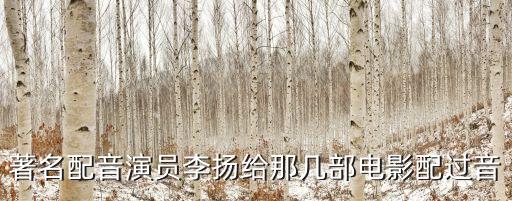 著名配音演員李揚(yáng)給那幾部電影配過(guò)音