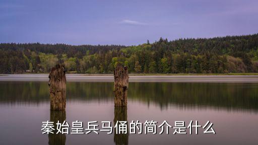 秦始皇兵馬俑的簡介是什么