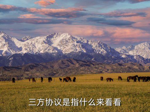 三方協(xié)議是哪三方,簽約三方協(xié)議有何用處?