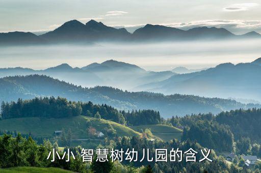 智慧樹幼兒園,智慧樹幼兒園收費多少?需要75元管理費