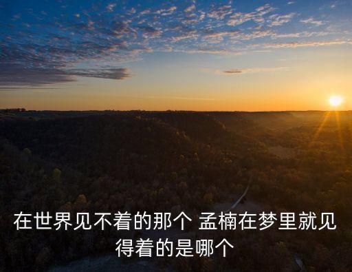 孟楠,孟楠參加《中國好聲音》走到了汪峰組四強
