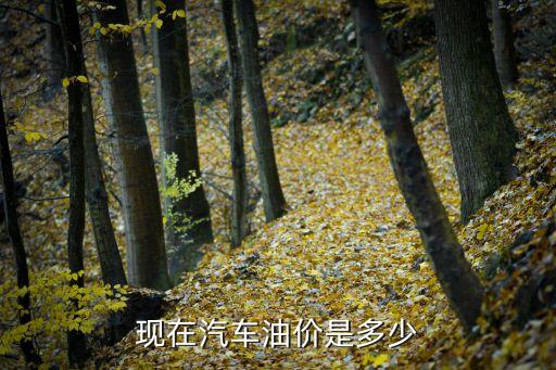 寧夏油價(jià),寧夏中石化和中石油那個價(jià)格便宜?