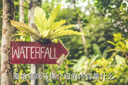 西安兵馬俑介紹,西安兵馬俑景點介紹及資料