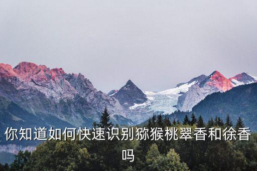 你知道如何快速識別獼猴桃翠香和徐香嗎