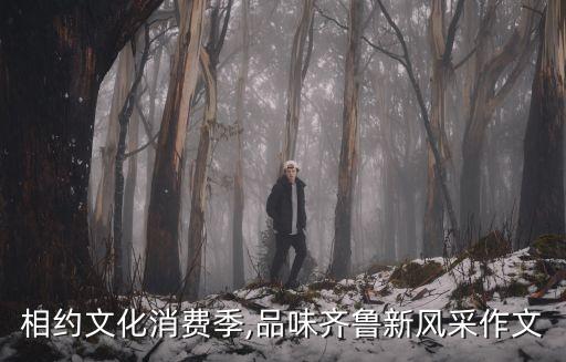 相約文化消費季,品味齊魯新風采作文