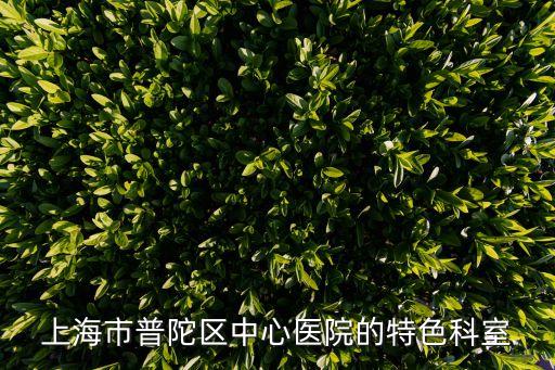 上海市普陀區中心醫院的特色科室