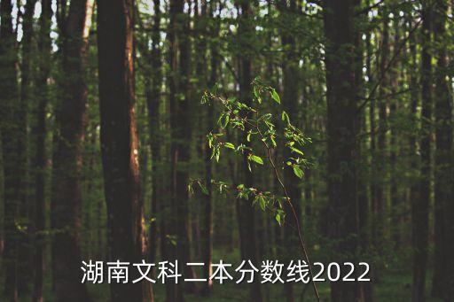 湖南二本線,湖南2023年二本線尚未公布