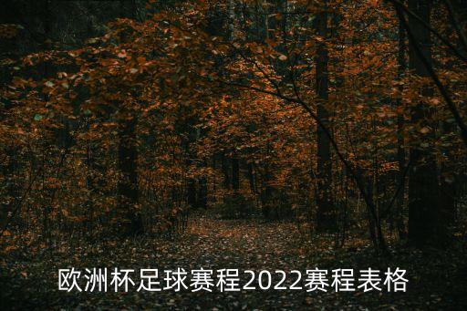 歐國聯賽程,歐洲杯足球賽程表格德國隊世界杯賽程如下
